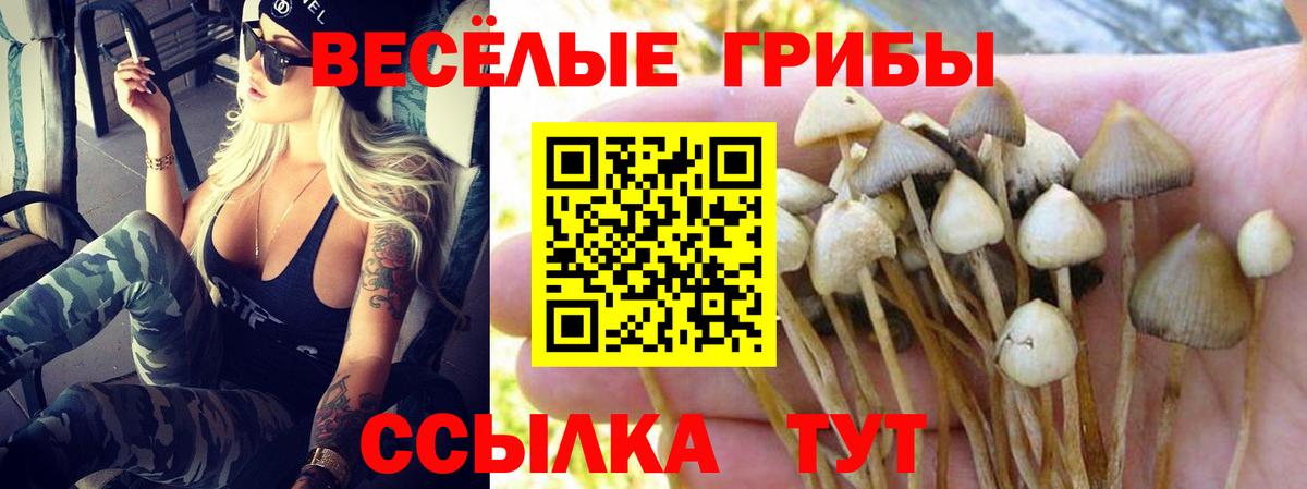 Псилоцибиновые грибы ЛСД Томск