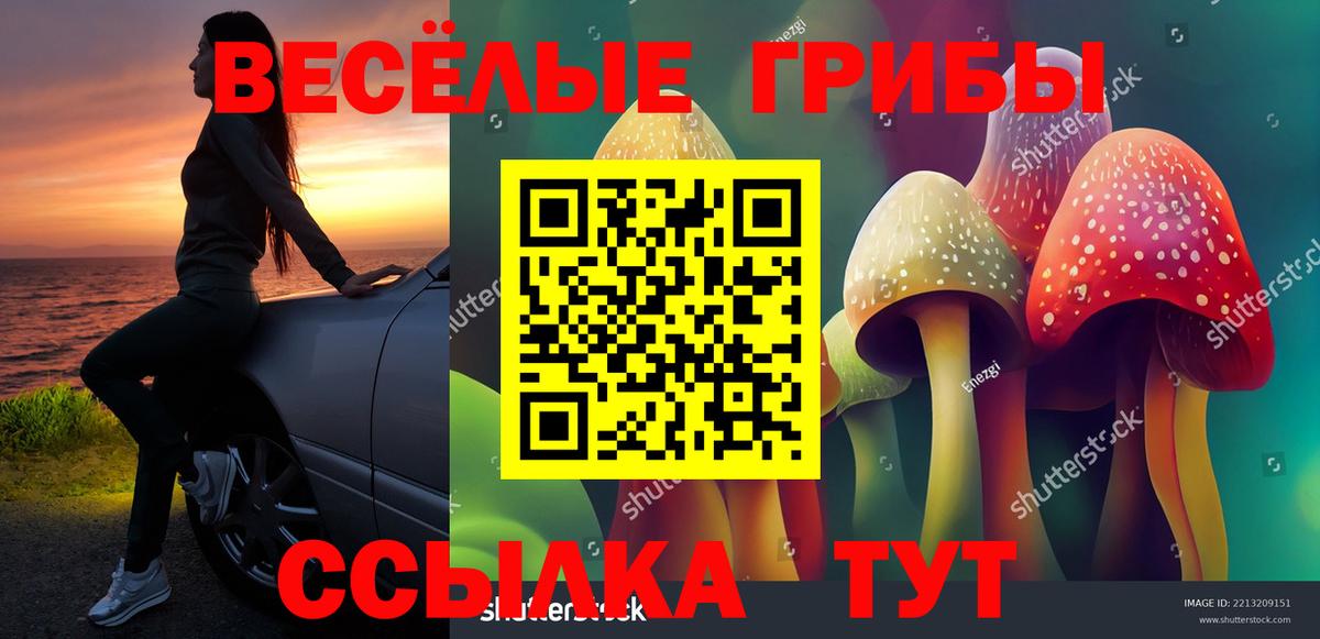 Псилоцибиновые грибы MAGIC MUSHROOMS  Вход с VPN  Томск 